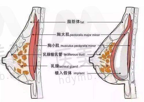 精良设备与技术