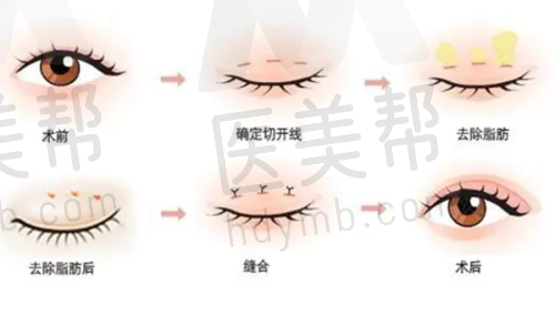 北京市医疗美容主诊医师资格认定情况