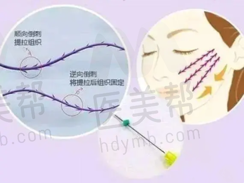 收费情况