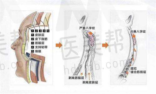 经营范围