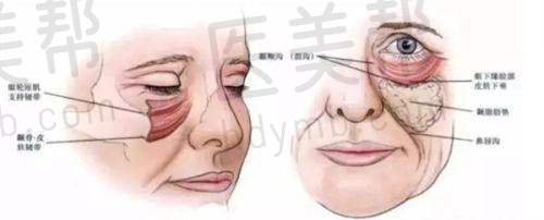 专精医疗团队：实力雄厚的骨干医生阵容