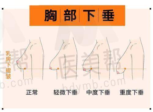 发展历程与口碑