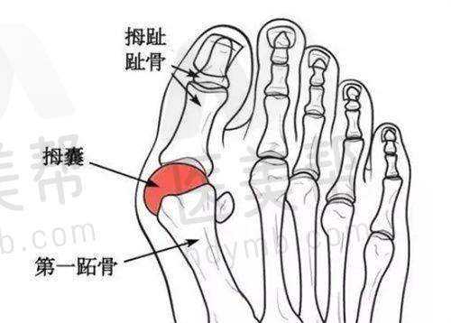 湖北省隆胸手术价格参考