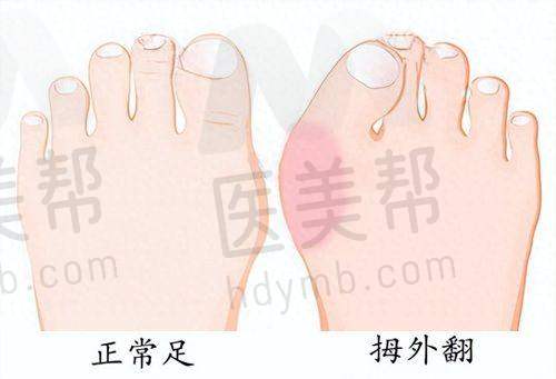 医生团队介绍