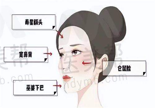 顾客的反馈与评价