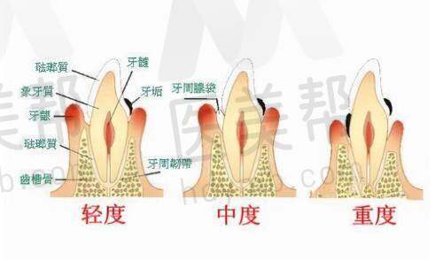 科室与项目