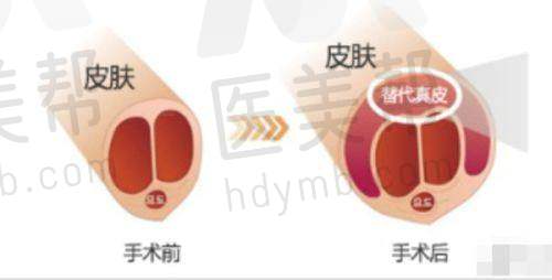 可能存在的不足