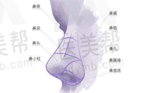 医生团队