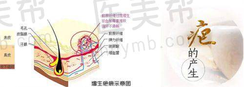 口碑排名情况