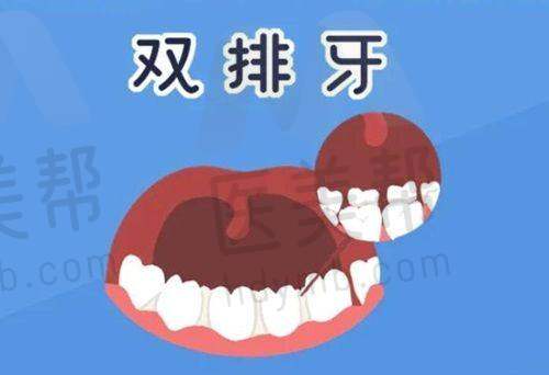 患者评价与口碑